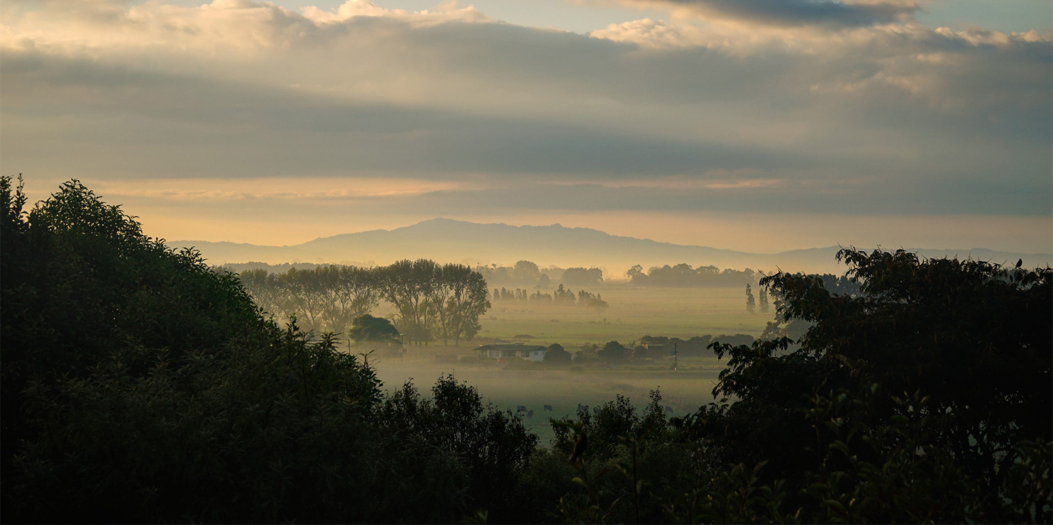 Interim Injunctions in the Māori Land Court – A Guide for Trustees and Whānau