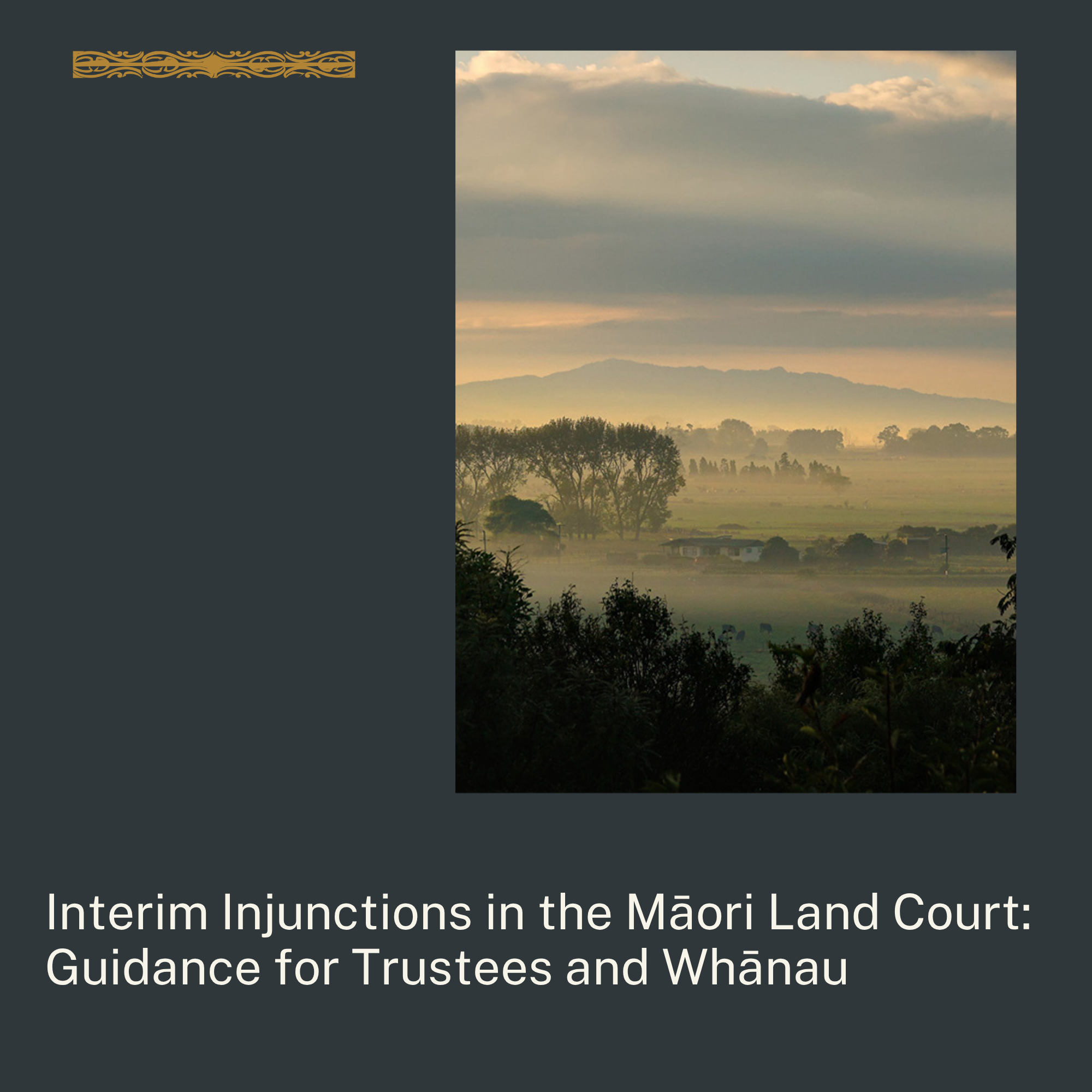 Interim Injunctions in the Māori Land Court – A Guide for Trustees and Whānau